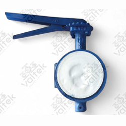 Audco Butterfly Valve